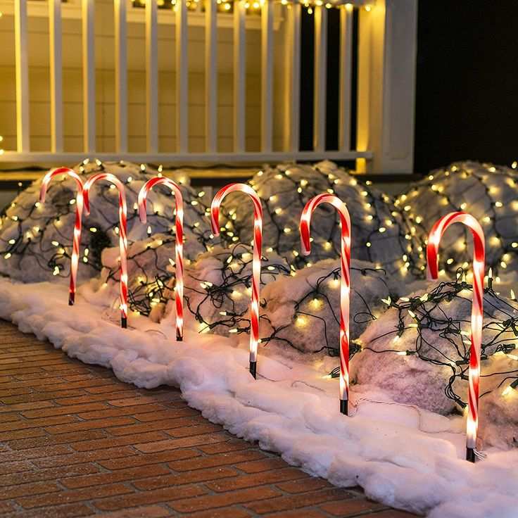 Candy Cane Path Stakes