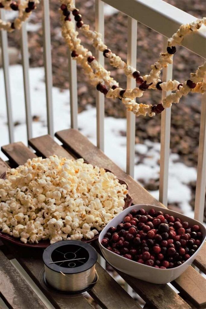 Strings of Popcorn and Cranberries