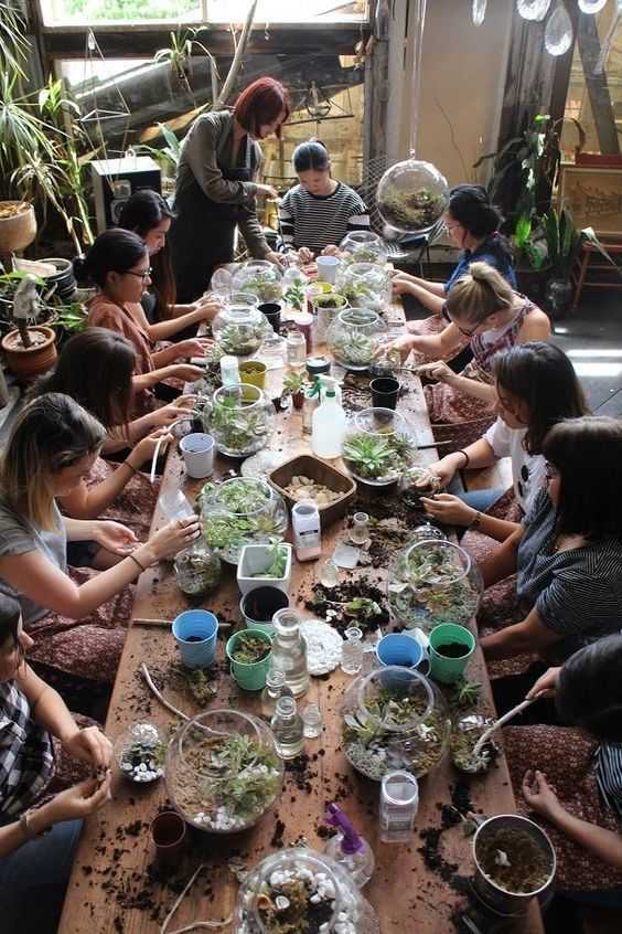 Gardening & Plant Swap Night