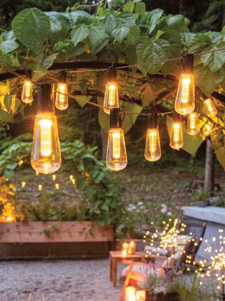 Lantern-Style Bulbs