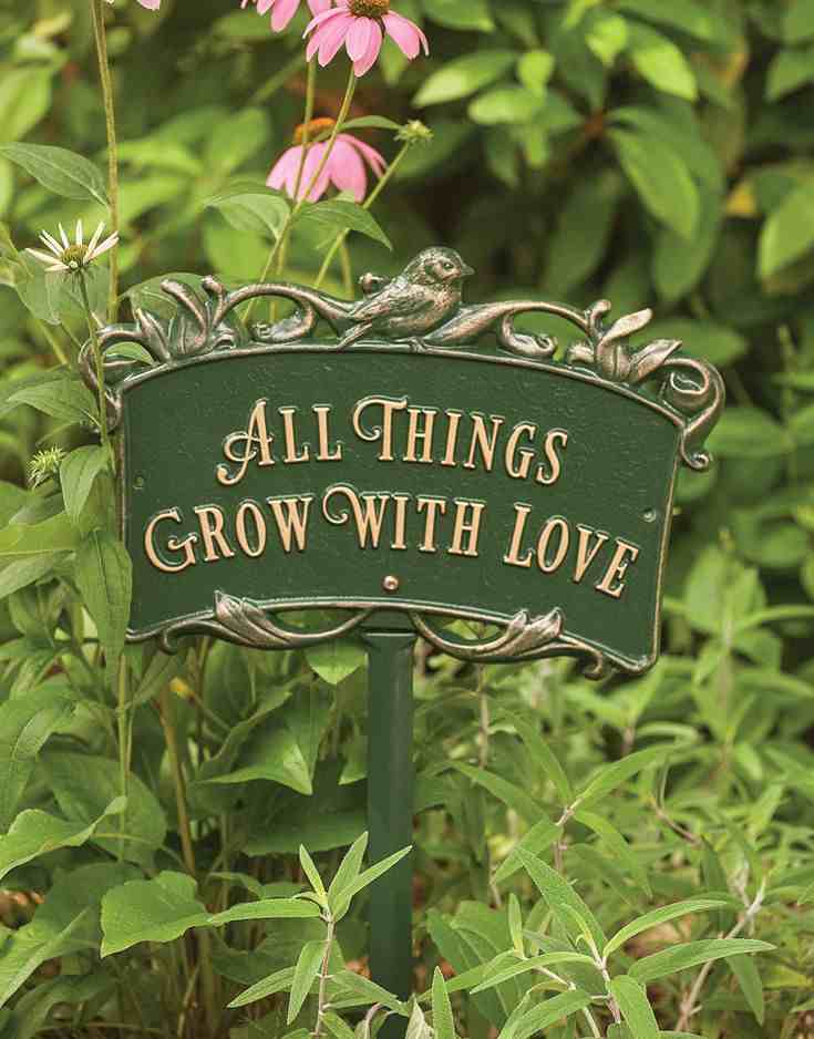 Flowering Scripture Corner