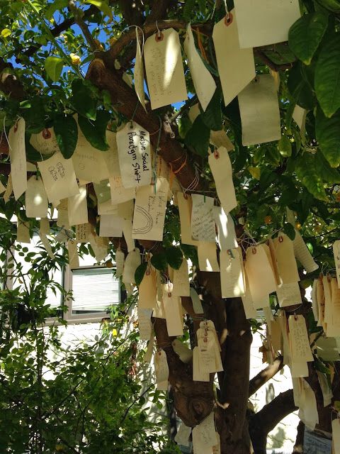 Scripture Tree Markers