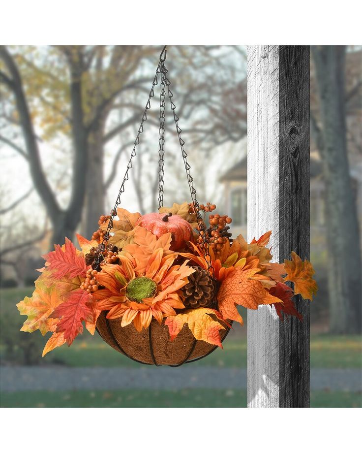 Autumn Hanging Baskets