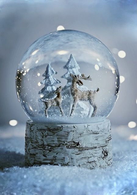 Frosty Forest Snow Globe
