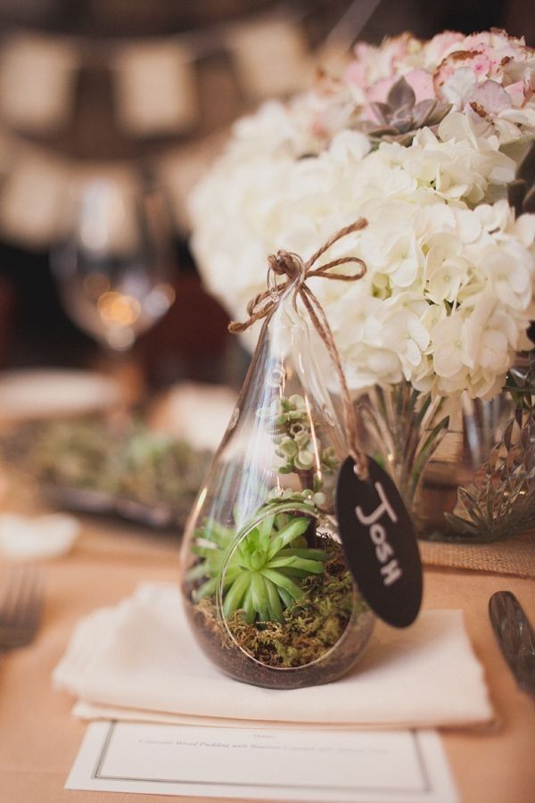 Mini Terrarium Place Cards