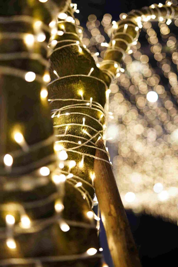 Twinkling Tree Lights