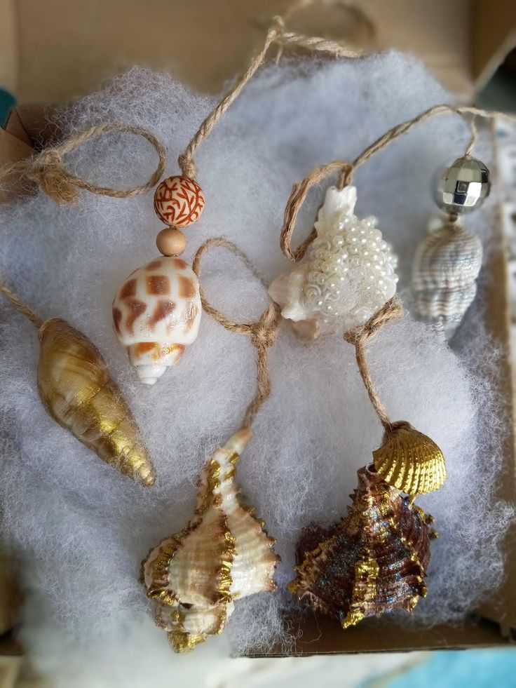 Seashell Ornament Collection