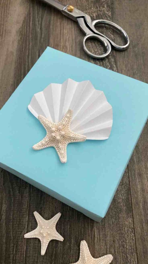 Seashell Gift Toppers