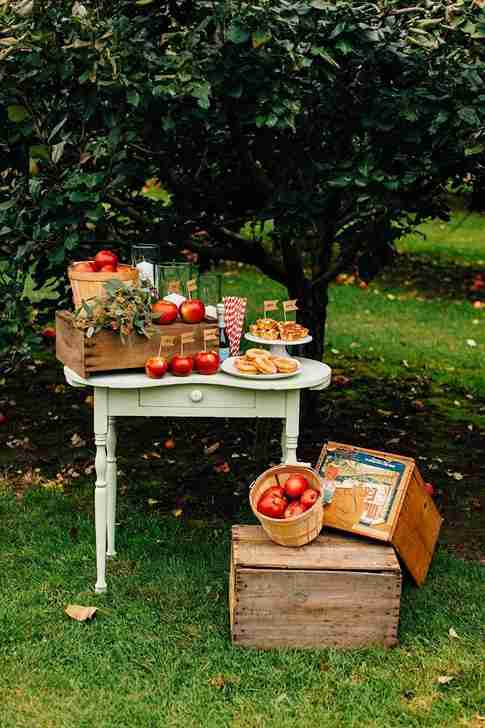 Apple Orchard Play Party