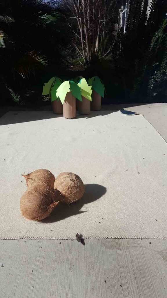 Coconut Bowling