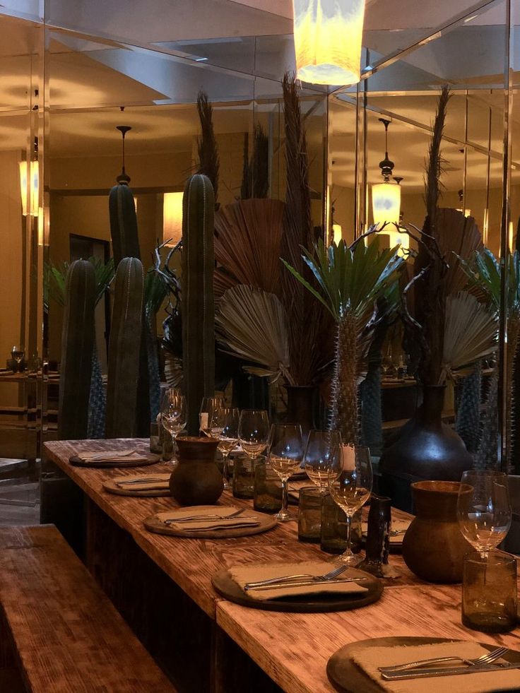 Jungle Expedition Mystery