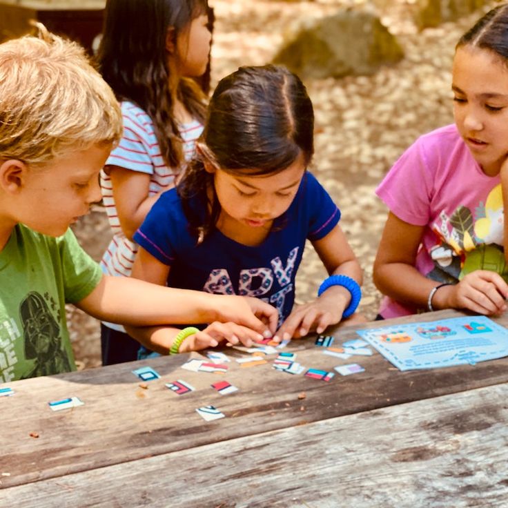 Capture the Treasure Game