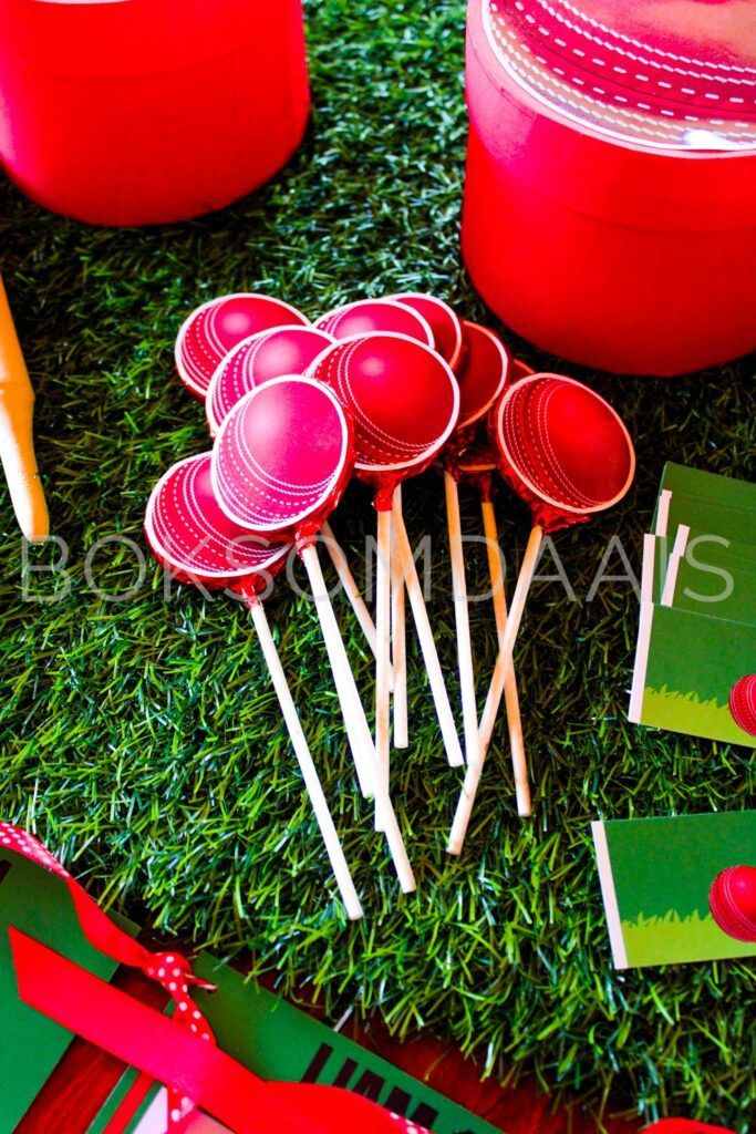 Cricket Champions Party