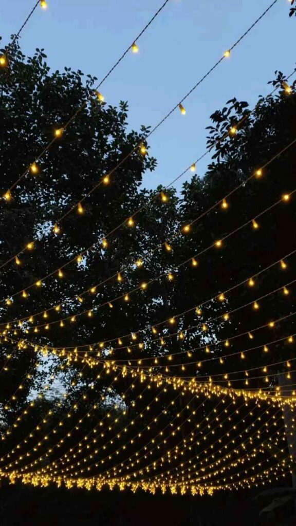 Harbor Light Evening