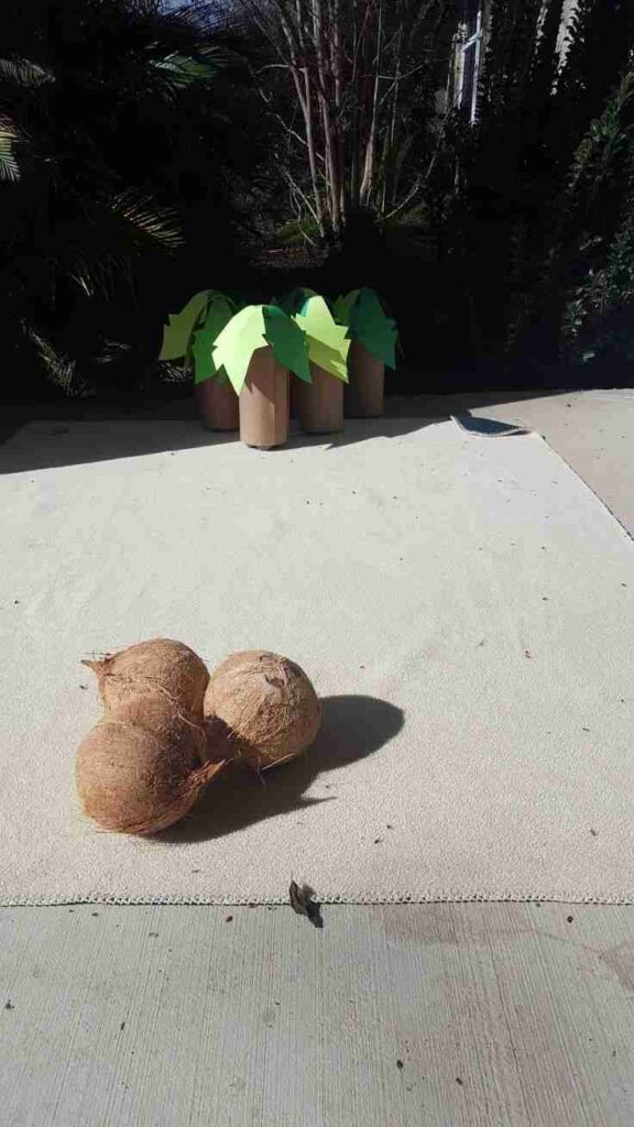 Coconut Bowling Game