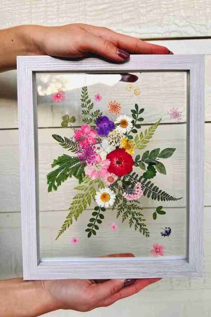 Flower Press Art Frames