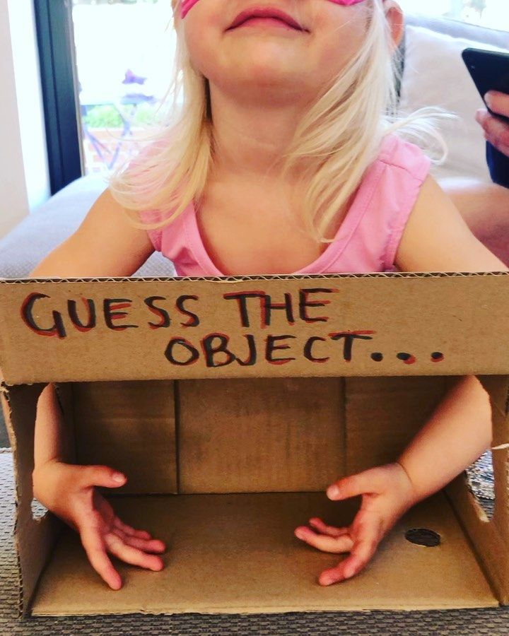 Guess The Object Game