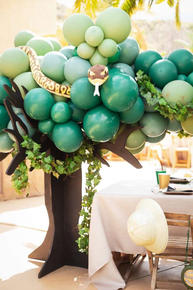 Spring Safari Adventure