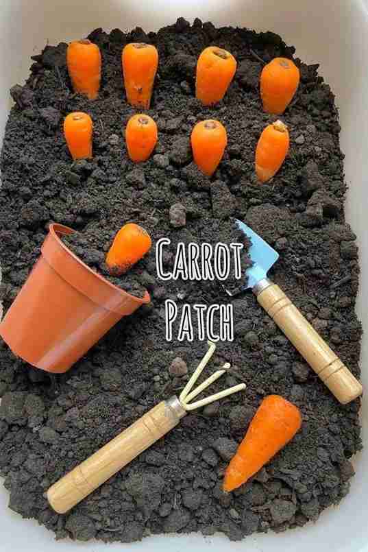 Carrot Patch Treasure Hunt