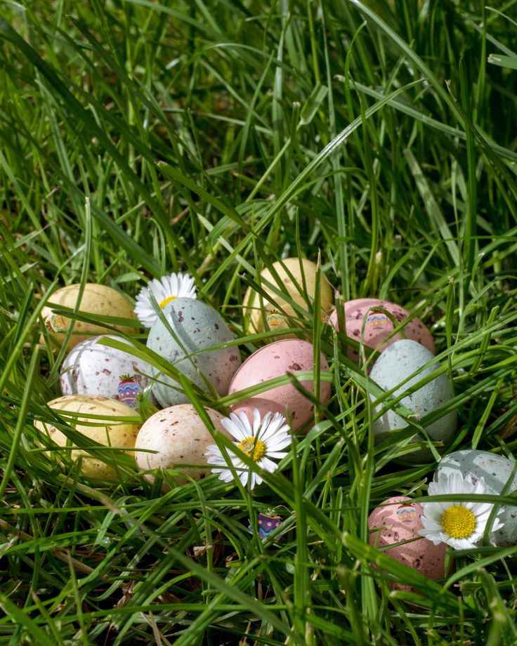 Easter Egg Hide and Seek