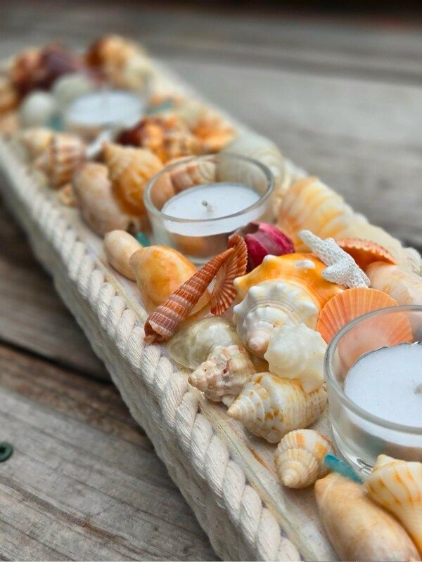 Handmade Shell Decor Display