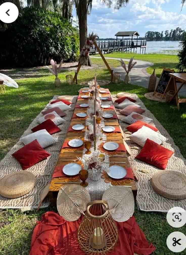 Backyard Picnic Party Setup