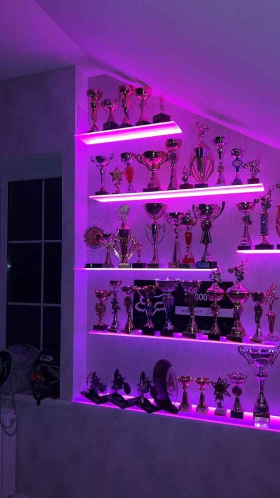 DIY Trophy Display Setup