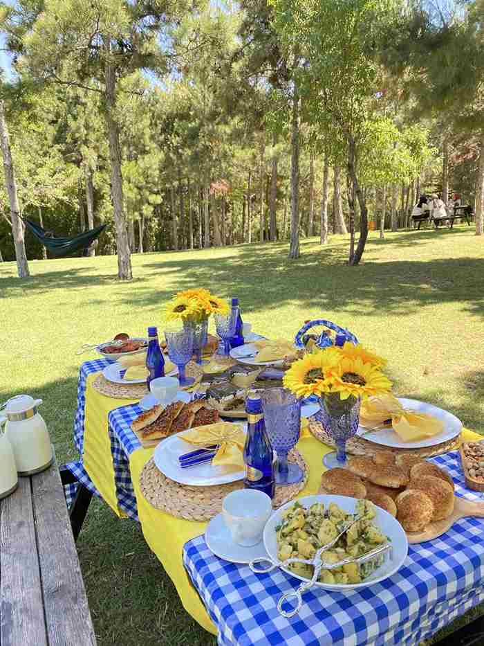 Blueberry-Themed Backyard Brunch