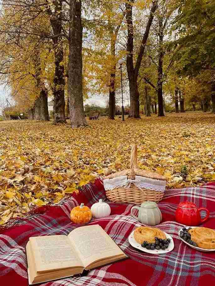 Cozy Book Club Fall Picnic
