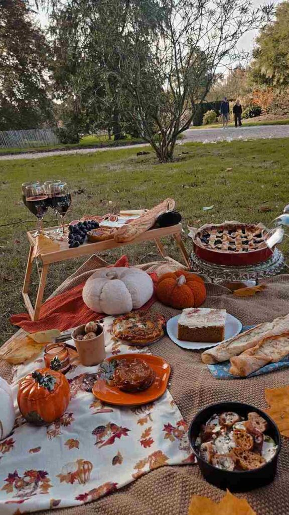 Cozy Pumpkin Patch Picnic