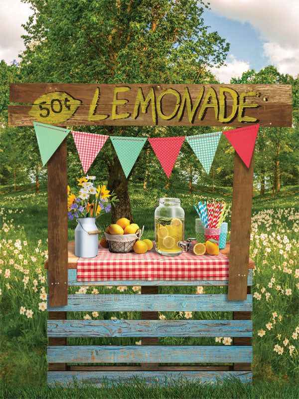 Lemonade Stand Party Setup