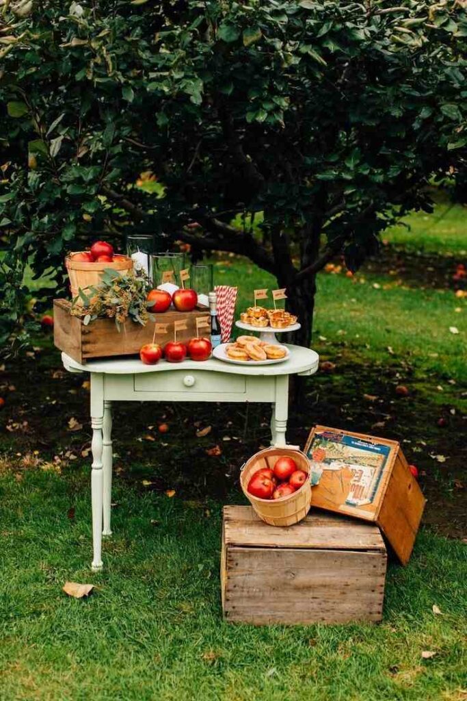 Apple Orchard-Inspired Gathering