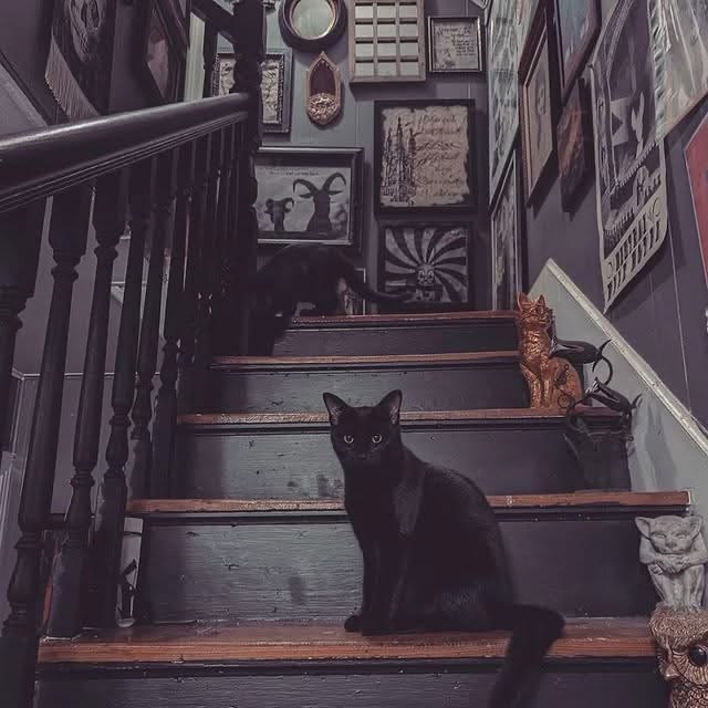 Black Cat Stair Decor