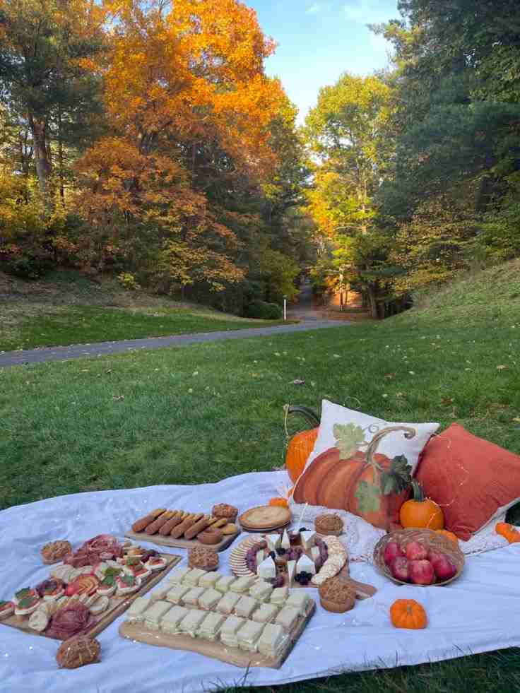 Cinnamon and Spice Picnic Theme