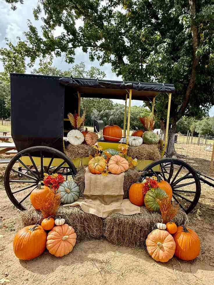 Fall Wagon Ride Experience