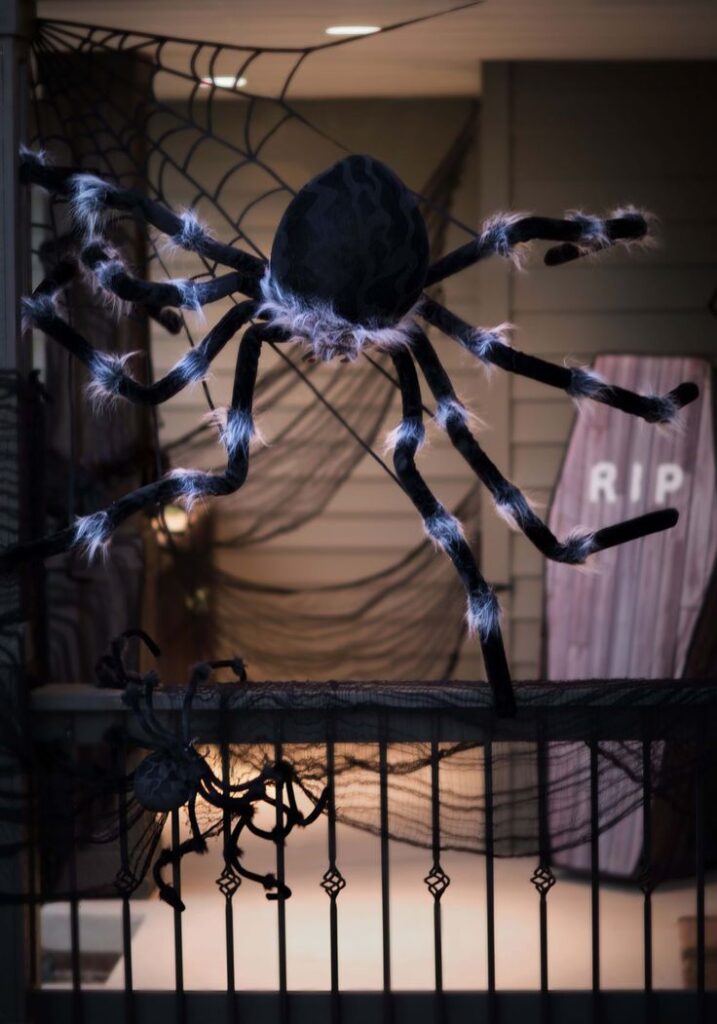 Giant Hanging Spider Display