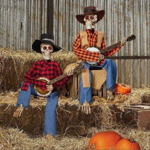 Skeleton Playing Guitar on the Porch