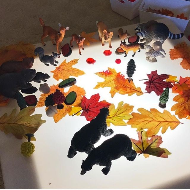 Play Autumn Animal Guessing