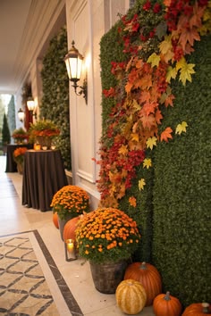 Create a Pumpkin and Leaf Wall